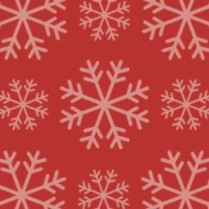 Meet your Posher, Jorge/ snehal